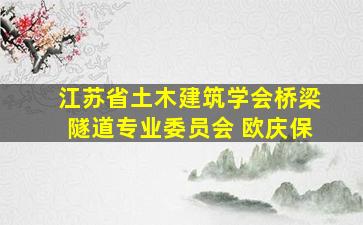 江苏省土木建筑学会桥梁隧道专业委员会 欧庆保